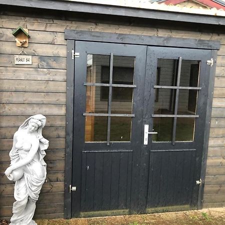 Onder De Walnoot Villa Ermelo Dış mekan fotoğraf